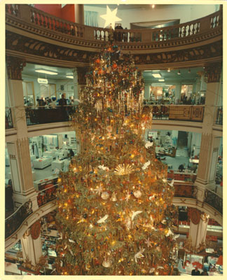Christmas Tree in Rotunda SFL